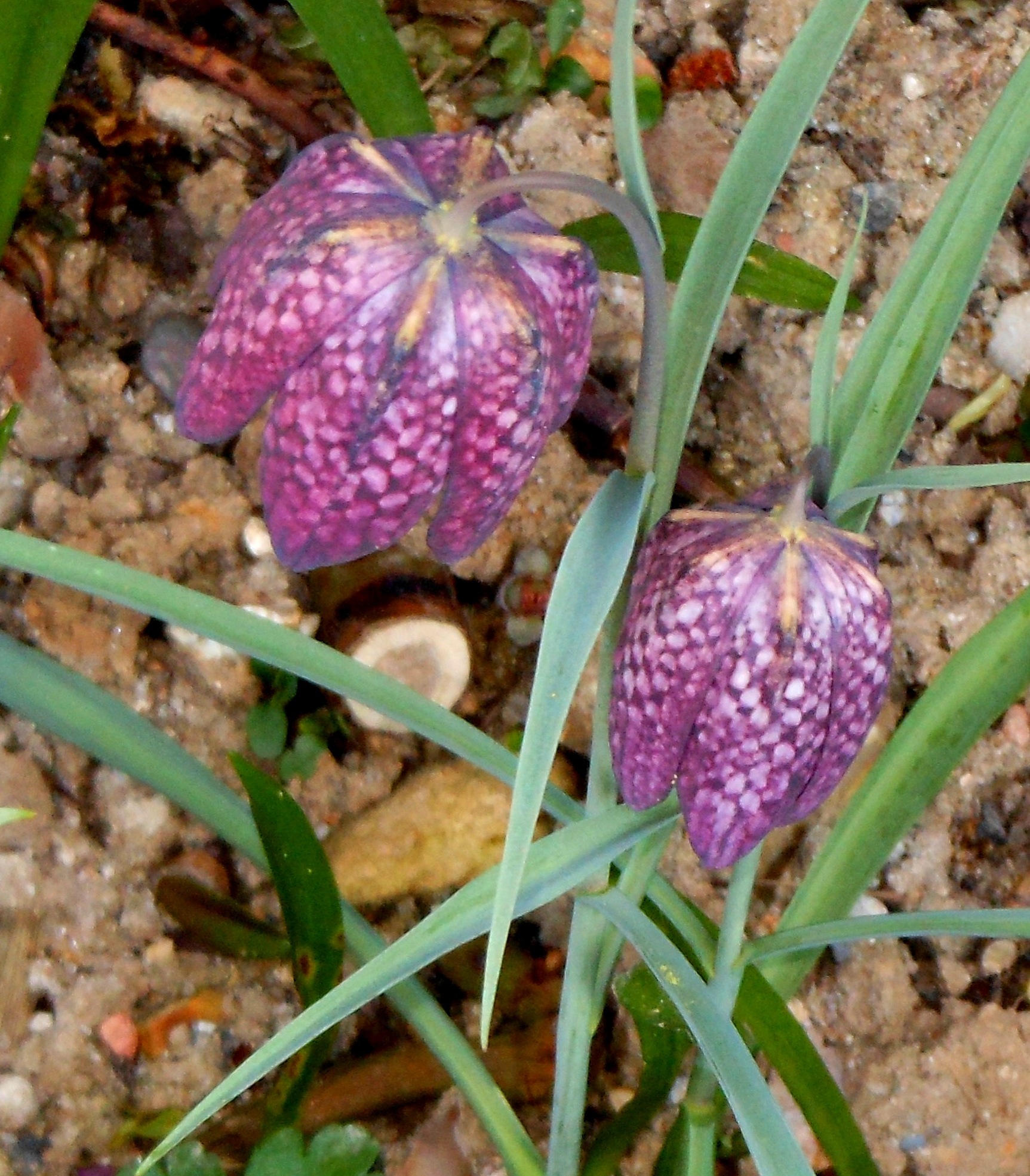 Blog/April 20 Blog pic 6